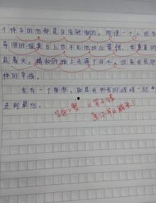 娱乐吃瓜酱小学生作文,小学生作文中的趣味与智慧
