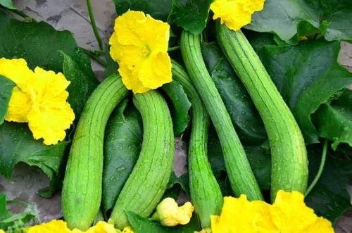糖豆豆娱乐圈吃瓜合集,揭秘明星幕后故事与热点事件  第3张