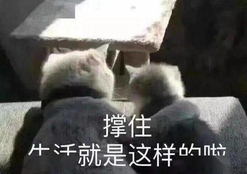 娱乐吃瓜口播文案短句搞笑,笑料横生!娱乐吃瓜界的搞笑短句大盘点 第2张 娱乐吃瓜口播文案短句搞笑,笑料横生!娱乐吃瓜界的搞笑短句大盘点 第2张