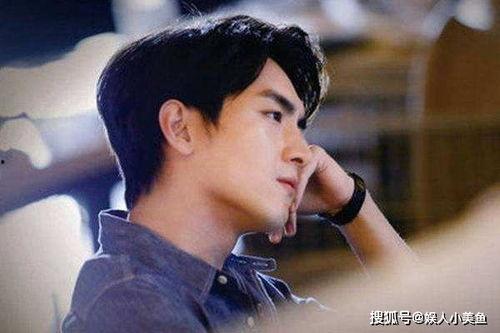 娱乐圈吃瓜爆料林更新,娱乐圈爆料背后的真相与争议  第3张