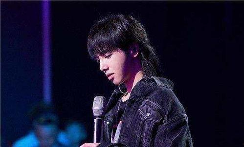 娱乐吃瓜华晨宇是谁啊,娱乐吃瓜界的焦点人物 第1张 娱乐吃瓜华晨宇是谁啊,娱乐吃瓜界的焦点人物 第1张