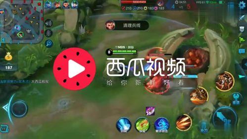 娱乐吃瓜背景音乐推荐大全,娱乐吃瓜必备!盘点热门背景音乐推荐大全 第3张 娱乐吃瓜背景音乐推荐大全,娱乐吃瓜必备!盘点热门背景音乐推荐大全 第3张