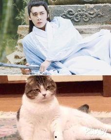 娱乐吃瓜小猫咪微博,揭秘娱乐圈幕后故事 第2张 娱乐吃瓜小猫咪微博,揭秘娱乐圈幕后故事 第2张