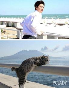 娱乐吃瓜小猫咪微博,揭秘娱乐圈幕后故事 第3张 娱乐吃瓜小猫咪微博,揭秘娱乐圈幕后故事 第3张