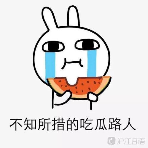 娱乐吃瓜酱经典语录大全,笑料百出,智慧闪耀  第3张 娱乐吃瓜酱经典语录大全,笑料百出,智慧闪耀  第3张