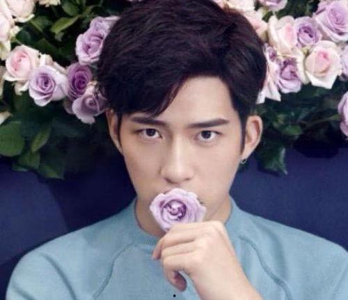 明星娱乐圈吃瓜节目推荐,明星幕后故事大起底  第2张