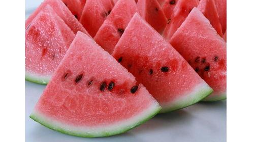 娱乐吃瓜酱青口冻干,揭秘网红美食背后的故事 第3张 娱乐吃瓜酱青口冻干,揭秘网红美食背后的故事 第3张