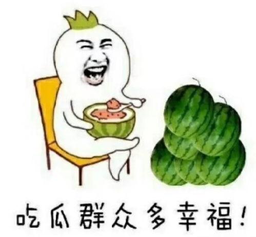 这几年吃的娱乐瓜叫什么,盘点近年热门娱乐瓜  第2张