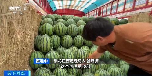 娱乐圈吃瓜直播间甘蓝,甘蓝带你揭秘明星幕后故事  第2张