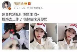 吃瓜开会说要娱乐圈,揭秘明星幕后故事  第2张