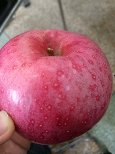 娱乐吃瓜酱密集恐惧症,娱乐吃瓜酱的惊悚之旅 第1张 娱乐吃瓜酱密集恐惧症,娱乐吃瓜酱的惊悚之旅 第1张