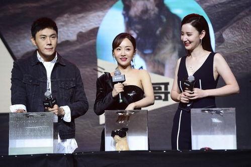 娱乐圈吃瓜爆料汇总最新,揭秘明星背后的故事与真相  第3张