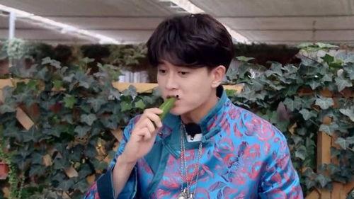 娱乐吃瓜刘宇宁视频大全,笑料百出,精彩纷呈 第3张 娱乐吃瓜刘宇宁视频大全,笑料百出,精彩纷呈 第3张