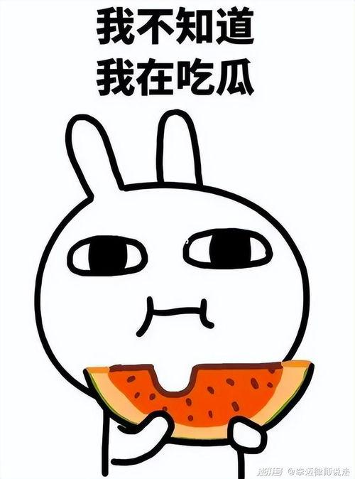 娱乐吃瓜小兔兔微博,揭秘娱乐圈那些吃瓜趣事  第2张