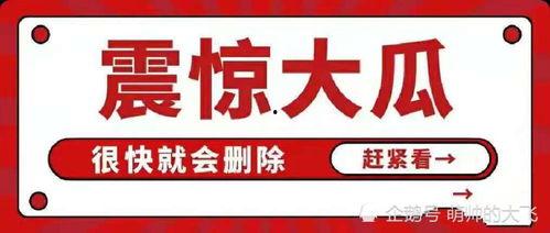 娱乐圈吃瓜帖子大全最新,揭秘明星幕后故事与精彩瞬间