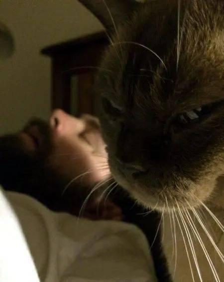 猫猫永不为奴娱乐吃瓜酱,娱乐吃瓜界的逆袭传奇 第2张 猫猫永不为奴娱乐吃瓜酱,娱乐吃瓜界的逆袭传奇 第2张