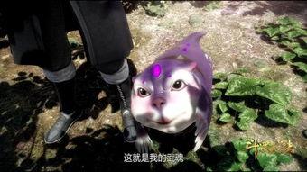 娱乐吃瓜君遛鸟大师是谁,揭秘娱乐吃瓜君背后的神秘人物 第3张 娱乐吃瓜君遛鸟大师是谁,揭秘娱乐吃瓜君背后的神秘人物 第3张