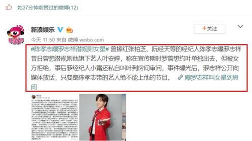 满级大佬在娱乐圈吃瓜,满级大佬的瓜田盛宴 第2张 满级大佬在娱乐圈吃瓜,满级大佬的瓜田盛宴 第2张