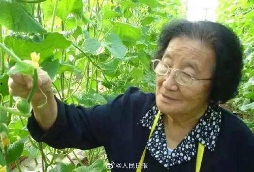 有父爱但不多娱乐吃瓜酱,品味生活中的温馨与趣味 第1张 有父爱但不多娱乐吃瓜酱,品味生活中的温馨与趣味 第1张