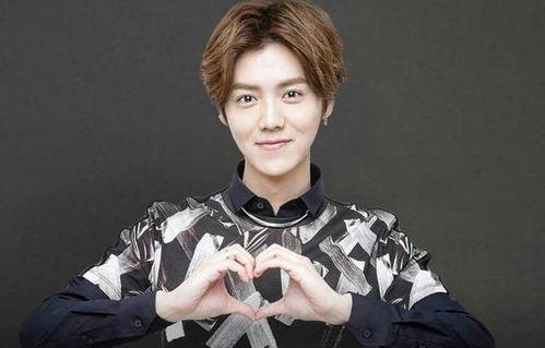 娱乐圈吃瓜鹅鹿晗,娱乐圈吃瓜鹅的蜕变之路 第2张 娱乐圈吃瓜鹅鹿晗,娱乐圈吃瓜鹅的蜕变之路 第2张